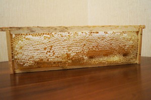 frame-honey