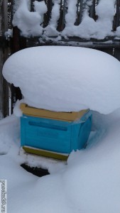 20170129_140018