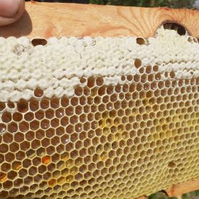 Ивовый мёд в рамке