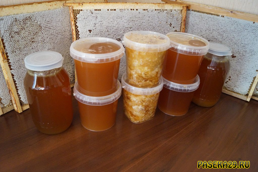 Малоизвестные свойства падевого мёда