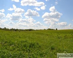 Окрестности пасеки