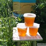 Мой первый и единственный майский мёд