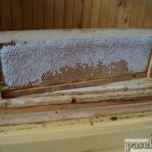 Северный мёд урожая 2017 года