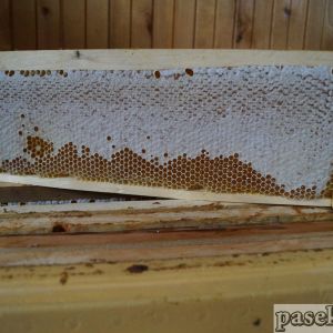 Северный мёд 2017