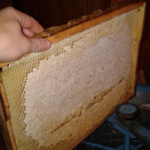 Ещё одна рамка перед распечаткой