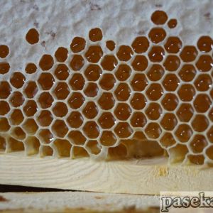 Мёд в сотах