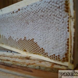 Рамка со зрелым печатным мёдом