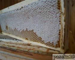 Рамка со зрелым печатным мёдом