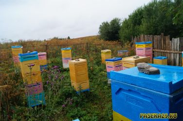 Знойный август 2018