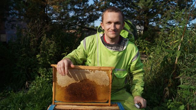 Пчеловод доволен :)