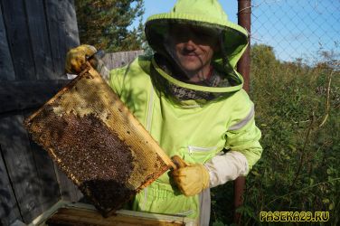Пчёлы хорошо поработали ..