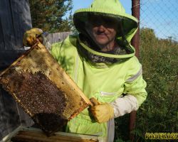 Пчёлы хорошо поработали ..