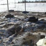 В конце марта я принёс на пасеку около 20 покрышек и высыпал пару мешков золы для скорейшего таяния снега. Как оказалось не зря - снег растаял быстрее, чем на поле. покрышки на пасеке