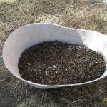 Подмор со всех семей