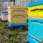 Магазины используются исключительно для подкормки