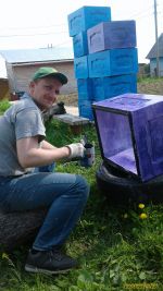 Окрашиваю ульи. Июнь 2020г