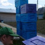 ульи lyson покрашенные на один слой