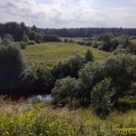 двинские луга на правом берегу