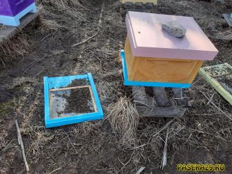 Дно улья с подмором, весна 2021 Дно улья с подмором, весна 2021