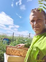 Майский мёд 2021 Майский мёд и пчеловод
