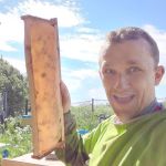 Майский мёд 2021 года в рамке Майский мёд 2021 года в рамке