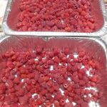 Малина перед погружением в печь на просушку Малина перед погружением в печь на просушку