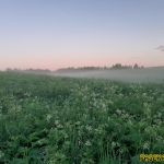 22ч30мин 13-го июня