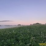 Июньский туман