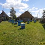 На пасеке у Николая Николаевича Верюжского, 4 июля 2022 года